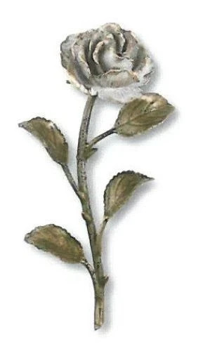 Rose aus bronze - rose,